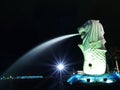 Merlion Park in the night