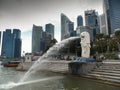 Merlion with Singapore Business District Royalty Free Stock Photo