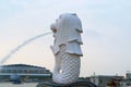 Merlion with skyscraper buildings in Singapore City at noon. Financial district in downtown with business centers in technology