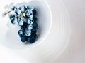 Merlot grape vine in white porcelain bowl on white table