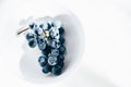 Merlot grape vine in white porcelain bowl on white table Royalty Free Stock Photo