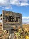 Merlot sign in a vineyard in autumn