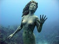 Mermaid Royalty Free Stock Photo
