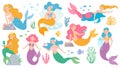 Mermaid. Cute mythical princess, little mermaids and dolphin, seashell and seaweeds, fishes and corals underwater game