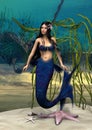 Mermaid Royalty Free Stock Photo