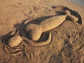 Mermaid made of sand on the beach during sunset in Belek, Antalya