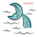 Mermaid`s tail hand drawing vector illustration
