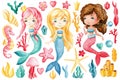 Mermaid, seashells, bubbles, coral on an isolated white background. Watercolor drawing Royalty Free Stock Photo