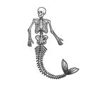 mermaid skeleton sketch vector illustration