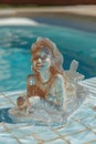 A mermaid statue sitting in a pool