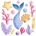 Mermaid tail, seashells, bubbles, coral and pearl on an isolated white background. Watercolor drawing Royalty Free Stock Photo