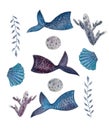 Mermaid tails, shells, seaweed set