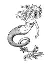 Mermaid woman. Sea siren. Antique Mythical Greek monster. Mythological animal. Ocean symbol. Fantastic creatures in the