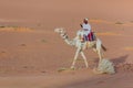 MEROE, SUDAN - MARCH 4, 2019: Local man riding a camel near the pyramids of Meroe, Sud