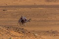 MEROE, SUDAN - MARCH 4, 2019: Locals ride camels near the pyramids of Meroe, Sud