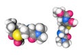 Meropenem, a carbapenem-type antibiotic. Space-filling molecular model. 3d illustration Royalty Free Stock Photo