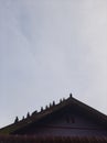 Merpati Birds on top of a house