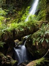 Merriman Falls in Lake Quinault valley on Olympic peninsula