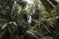 Merriman falls are situated at the Lake Quinault in Olympic National Park, Washington, United States of America, Travel USA,