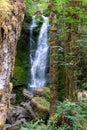 Merriman Falls waterfall in Olympic National Park Washington State