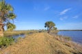 Merritt Island Wildlife Refuge Walking Trail Royalty Free Stock Photo