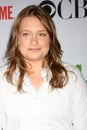 Merritt Wever Royalty Free Stock Photo
