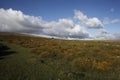 Merrivale prehistoric monuments area of Dartmoor National Park Devon, UK Royalty Free Stock Photo