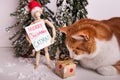 Merry CATMAS sign held by wooden jointed manikin doll wearing a Santa Claus hat cat smelling wrapped gift wintery scene Royalty Free Stock Photo