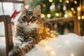 Merry Christmas! Adorable cat lying with stylish christmas gifts and golden lights on cozy armchair against decorated christmas