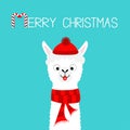 Merry Christmas. Alpaca llama baby face neck. Santa Claus red hat, scarf. Cute cartoon funny kawaii character. Happy New Year. Royalty Free Stock Photo