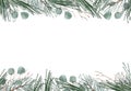 Merry Christmas banner and Winter green leaves, eucalyptus and conifer leaves illustration. Christmas background graphic