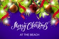 Merry Christmas at the beach with exotic tropical leaves Royalty Free Stock Photo