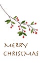 Merry Christmas and beery branch greeting card illustration on white background