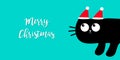 Merry Christmas. Black cat kitten peeking around the corner. Red Santa hat on ears. Kawaii cute cartoon character. Baby pet.