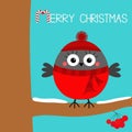 Merry Christmas. Bullfinch winter bird on rowan rowanberry sorb berry tree snow branch. Red hat, scarf. Candy cane. Cute cartoon Royalty Free Stock Photo