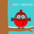 Merry Christmas. Bullfinch winter bird sitting on tree branch with snow. Red hat, scarf. Greeting card. Candy cane. Cute cartoon