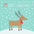 Merry christmas. Candy cane. Cute cartoon deer with horns, red scarf. Reindeeer head. Snowdrift. Blue winter snow background. Gree