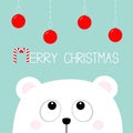Merry Christmas Candy cane. Polar white little small bear cub head face looking up to hanging round toys. Big eyes. Cute cartoon b