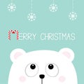 Merry Christmas Candy cane. Polar white little small bear cub head face looking up to hanging snow flake. Big eyes. Cute cartoon b Royalty Free Stock Photo