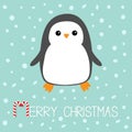 Merry Christmas Candy cane text. Kawaii Penguin bird. Cute cartoon baby character. Flat design Winter antarctica blue background w