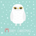 Merry Christmas Candy cane text. White Snowy owl. Sitting bird with wings. Yellow eyes. Arctic Polar baby animal. Flat design. Blu Royalty Free Stock Photo