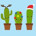 Merry Christmas card. Cactus in a Christmas hat. Cute greeting card.