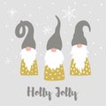 Merry Christmas Card With Cute Scandinavian Gnomes, Snowflakes And Text Holly Jolly.