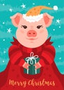 Merry Christmas Card, Funny Christmas pig. A cartoon pig in a red Santa Claus hat holds a gift, a turquoise background Royalty Free Stock Photo