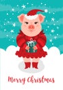 Merry Christmas Card, Funny Christmas pig. A cartoon pig in a red Santa Claus hat holds a gift, a turquoise background Royalty Free Stock Photo