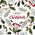 Merry Christmas card with oaks leaves, holly berries on white background. Vector illustration.