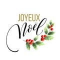 Merry Christmas card template with greetings in french language. Joyeux noel. Vector illustration Royalty Free Stock Photo