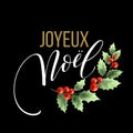 Merry Christmas card template with greetings in french language. Joyeux noel. Vector illustration Royalty Free Stock Photo