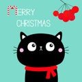 Merry Christmas. Cat kitten head face looks up to rowan berry. Red scarf. Cute cartoon kawaii character. Pet baby collection. Royalty Free Stock Photo