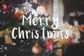 Merry Christmas Christmas tree in the background Royalty Free Stock Photo